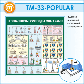 ����� ������������� �������������� ����� (TM-33)